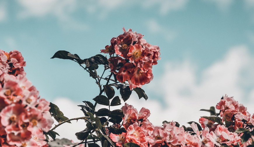 blog-14
