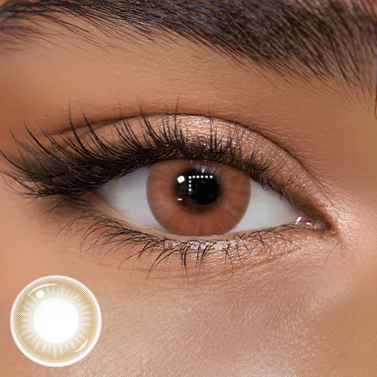 TolyTolly Burnt Coral Brown | Daily