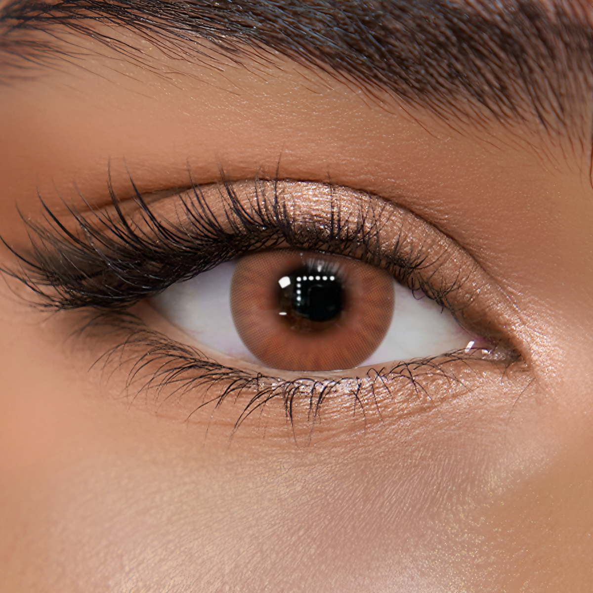 TolyTolly Burnt Coral Brown | Daily