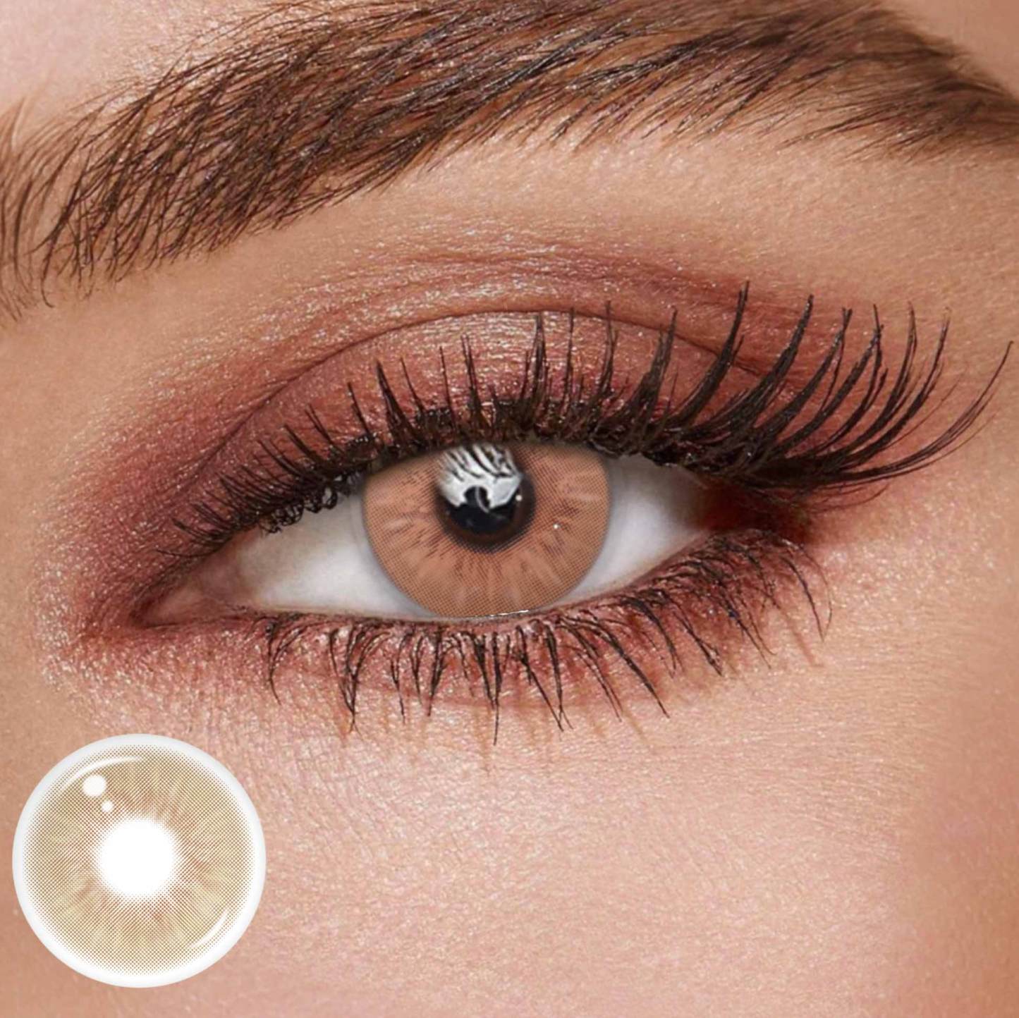 TolyTolly Aurea Brown