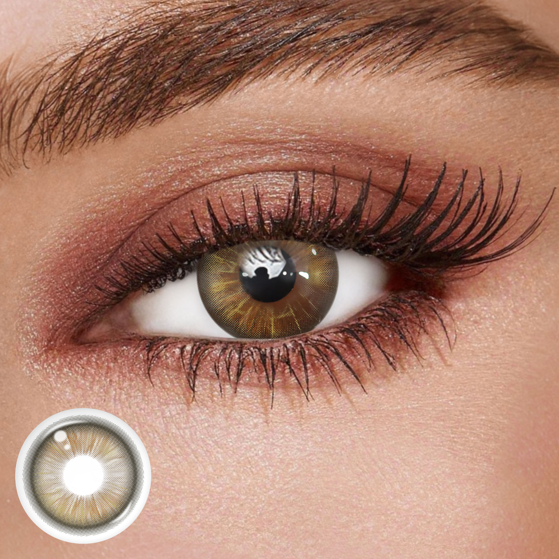 TolyTolly Ebony Brown