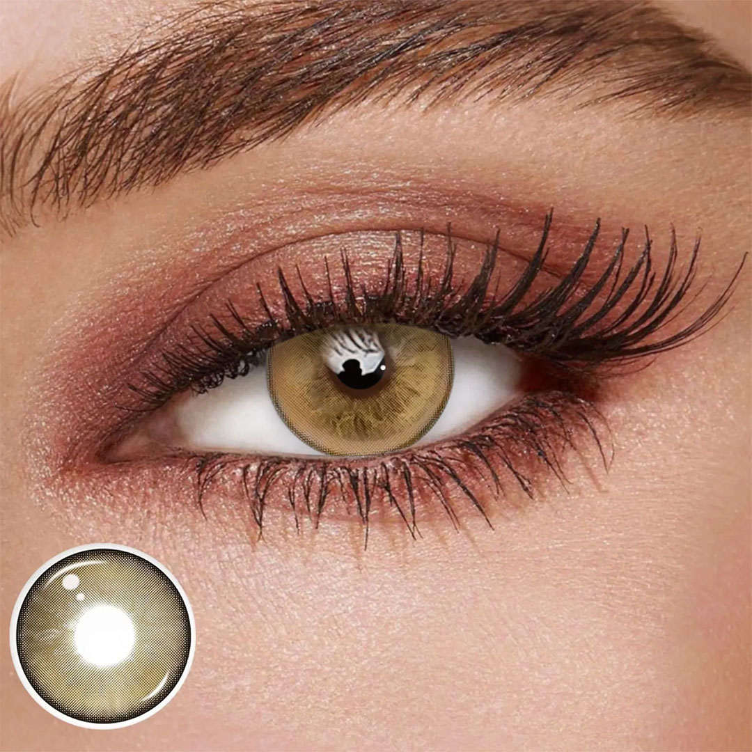 TolyTolly Vespera Brown