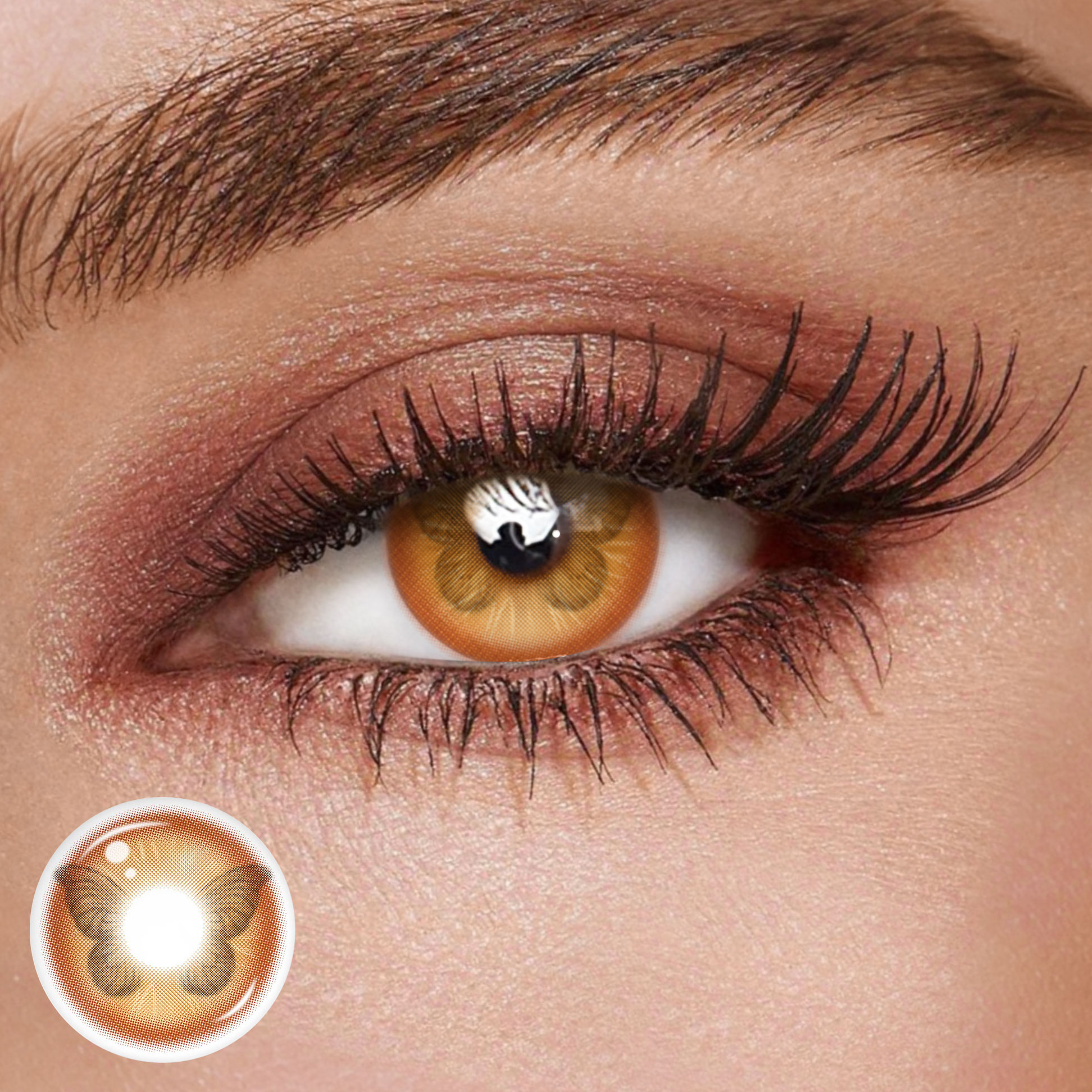 TolyTolly Monroe Blush Brown