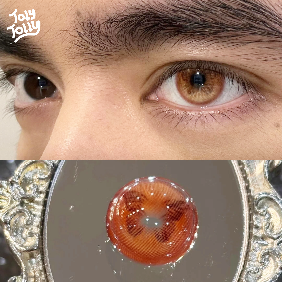 TolyTolly Monroe Blush Brown