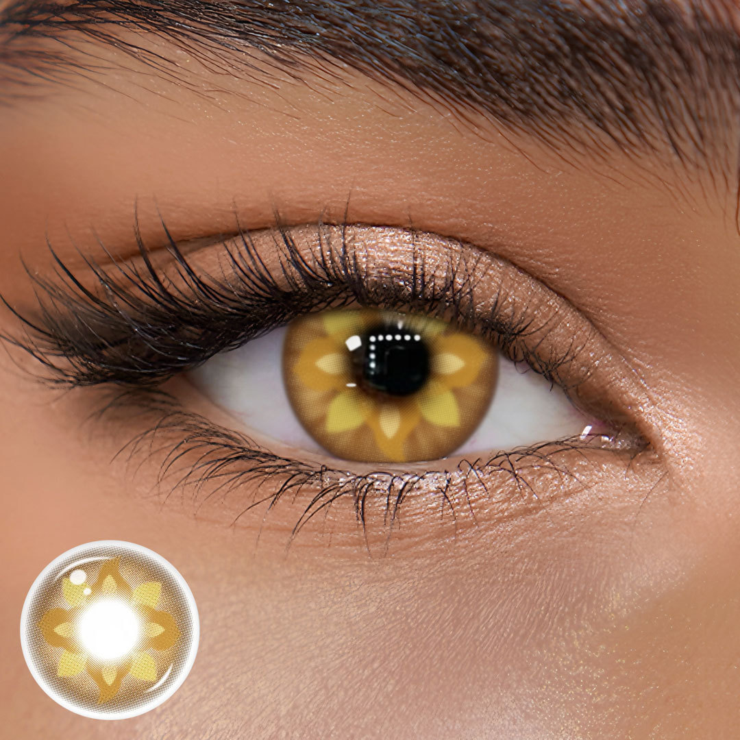 TolyTolly Arida Brown