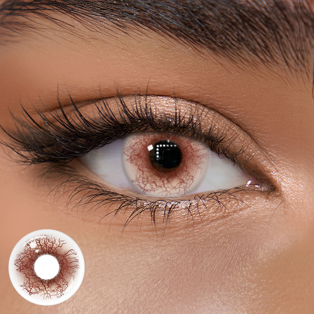 TolyTolly Dazara Brown