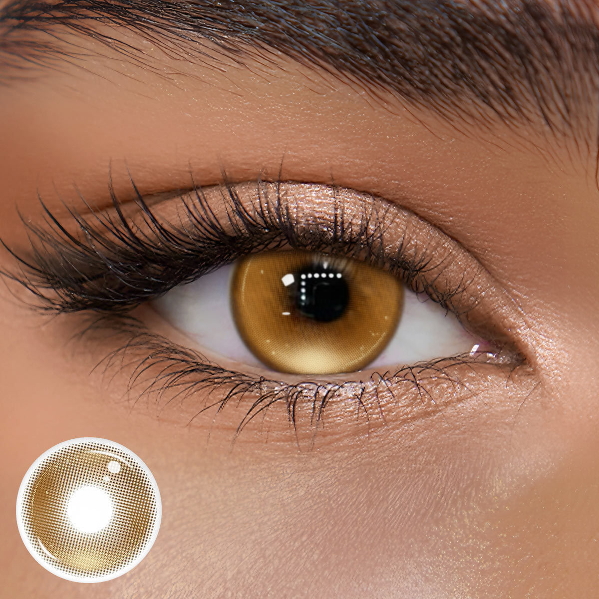 TolyTolly Frosty Brown