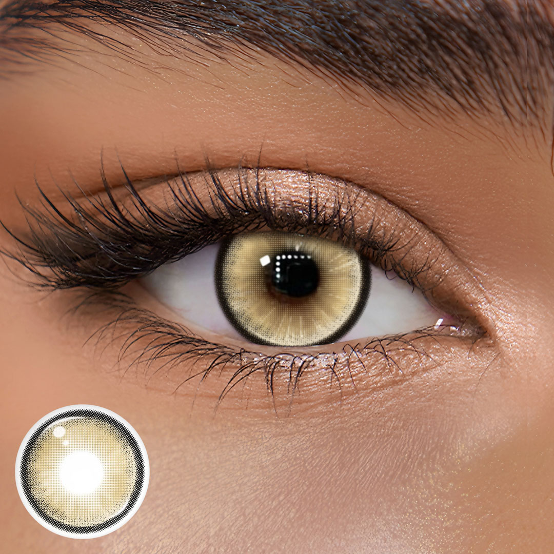 TolyTolly Midtown Brown