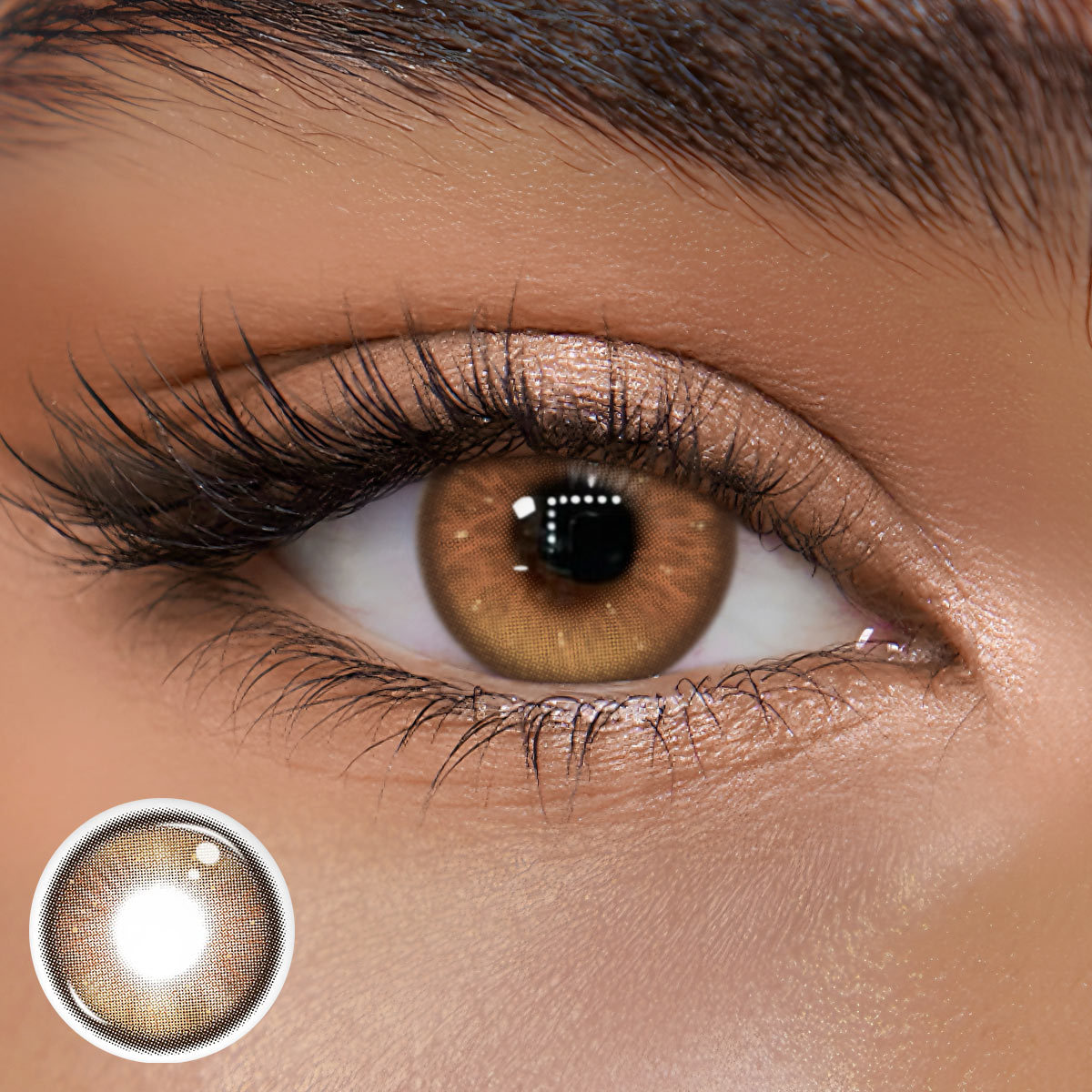 TolyTolly Enigma Brown