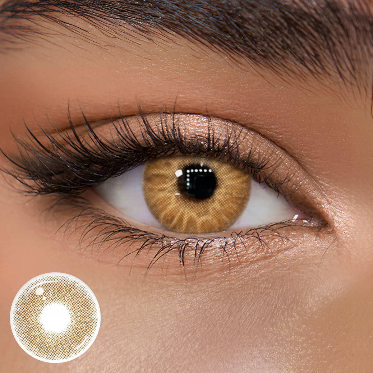 TolyTolly Regal Brown