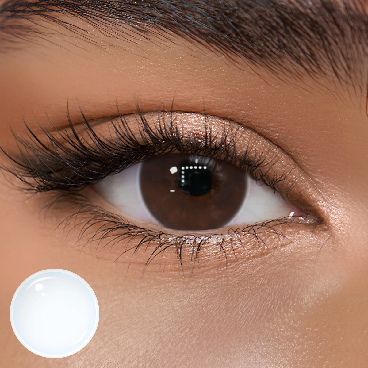 Toly Tolly Clear Contacts | Daily, 10pcs