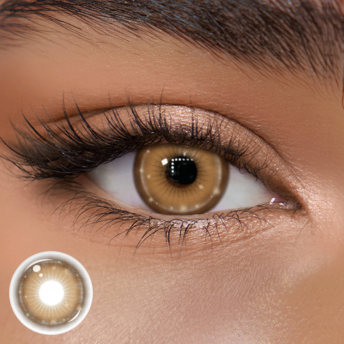 TolyTolly Crisa Brown