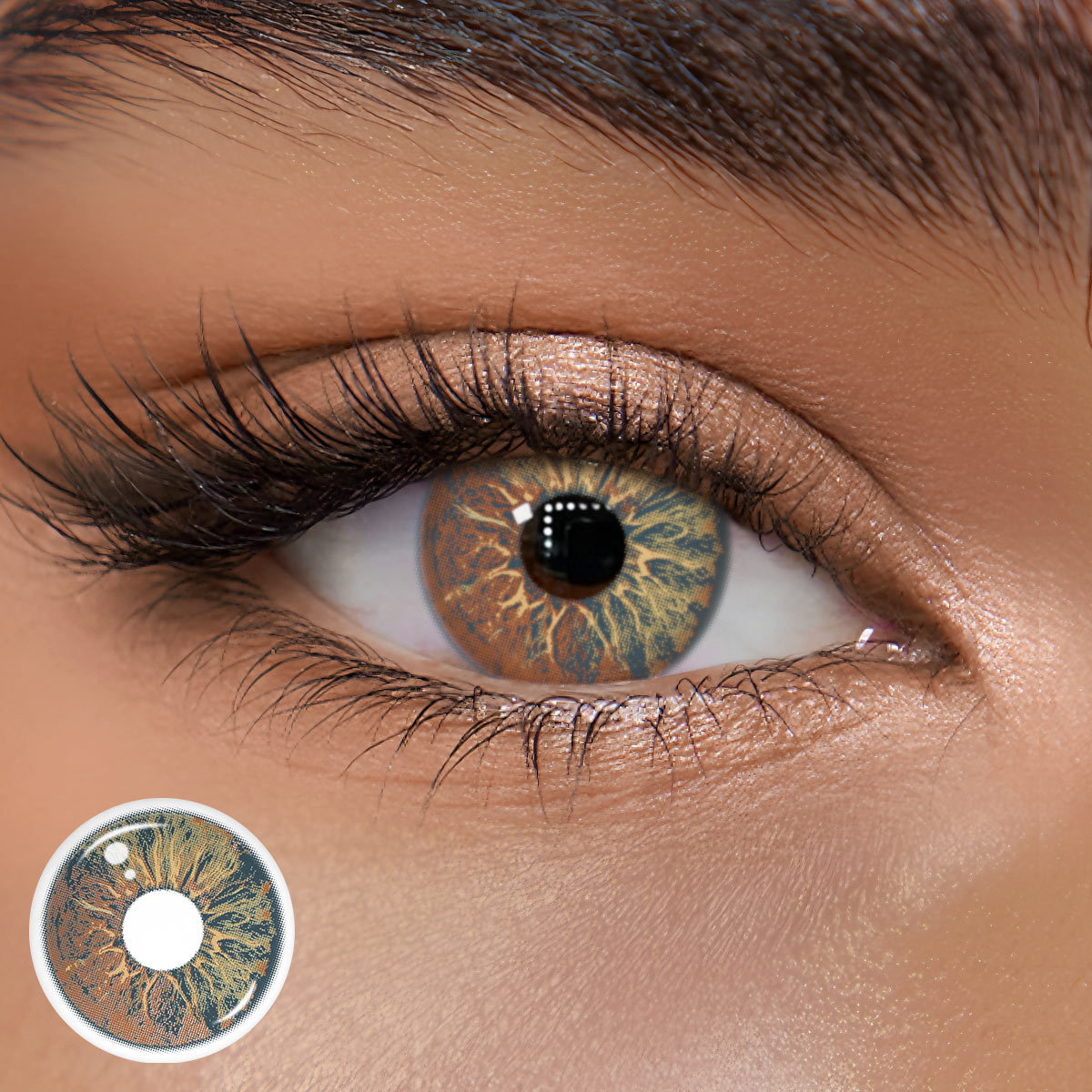 TolyTolly Cosmia Brown