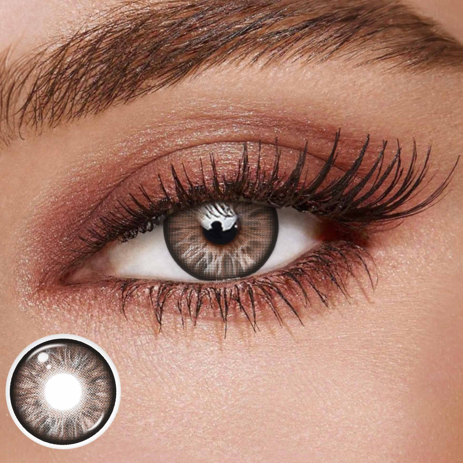 TolyTolly Celestique Brown