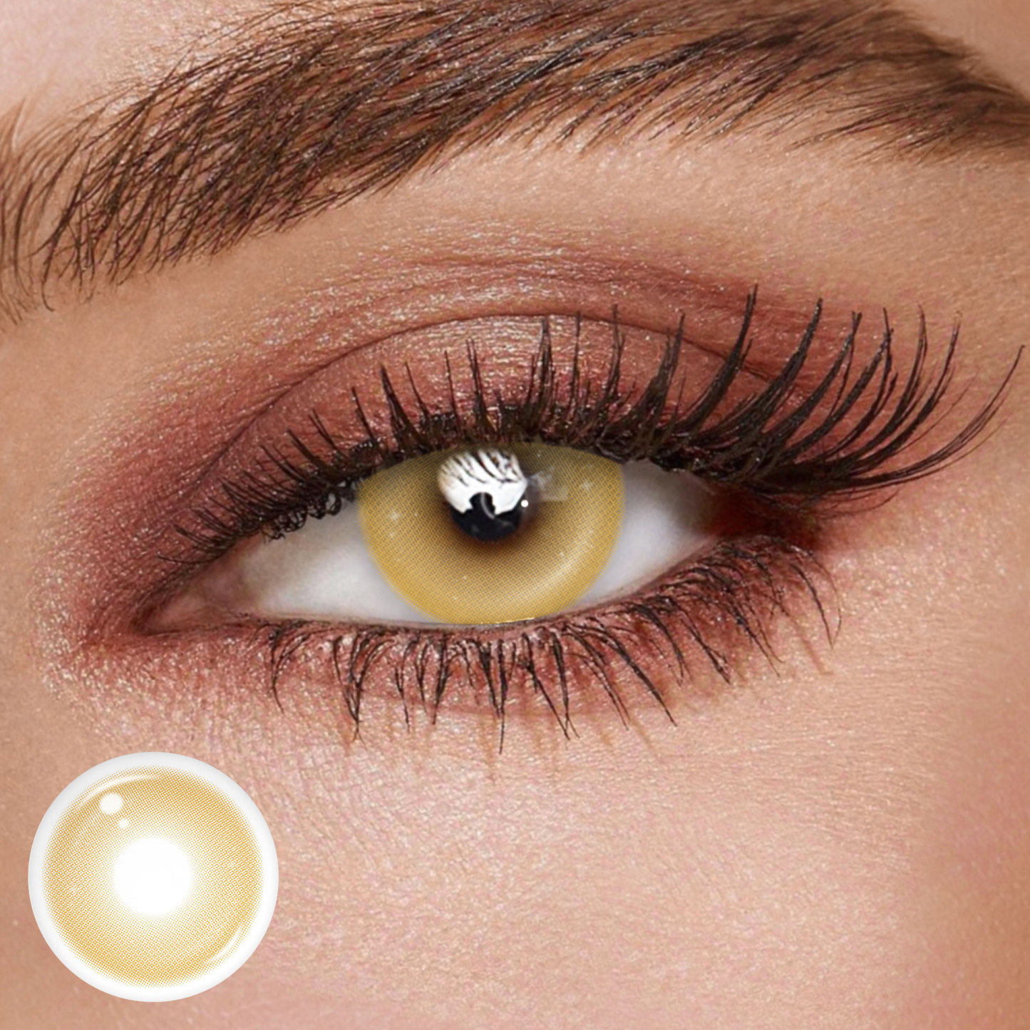 TolyTolly Moodis Brown