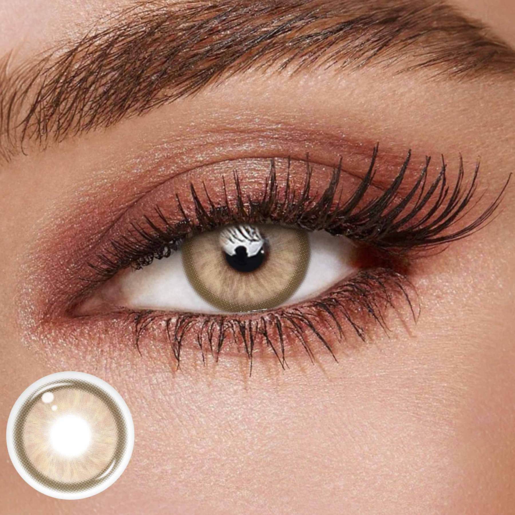 TolyTolly Canvas Brown