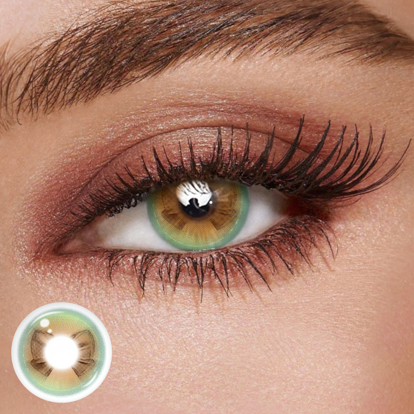 TolyTolly Dreamy Bow Brown