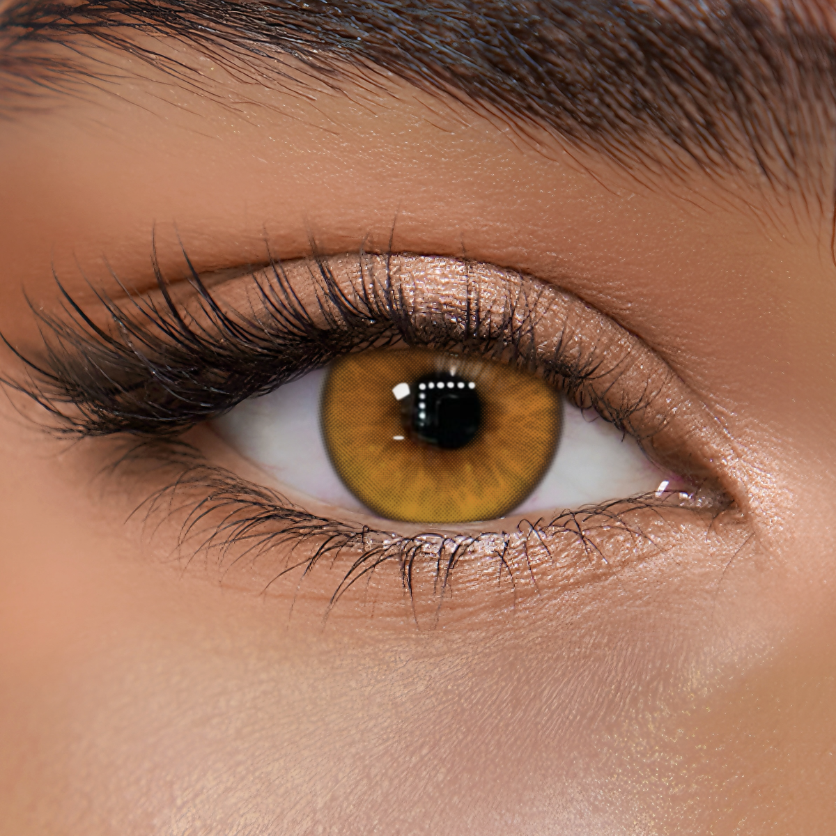 TolyTolly Gliselle Brown