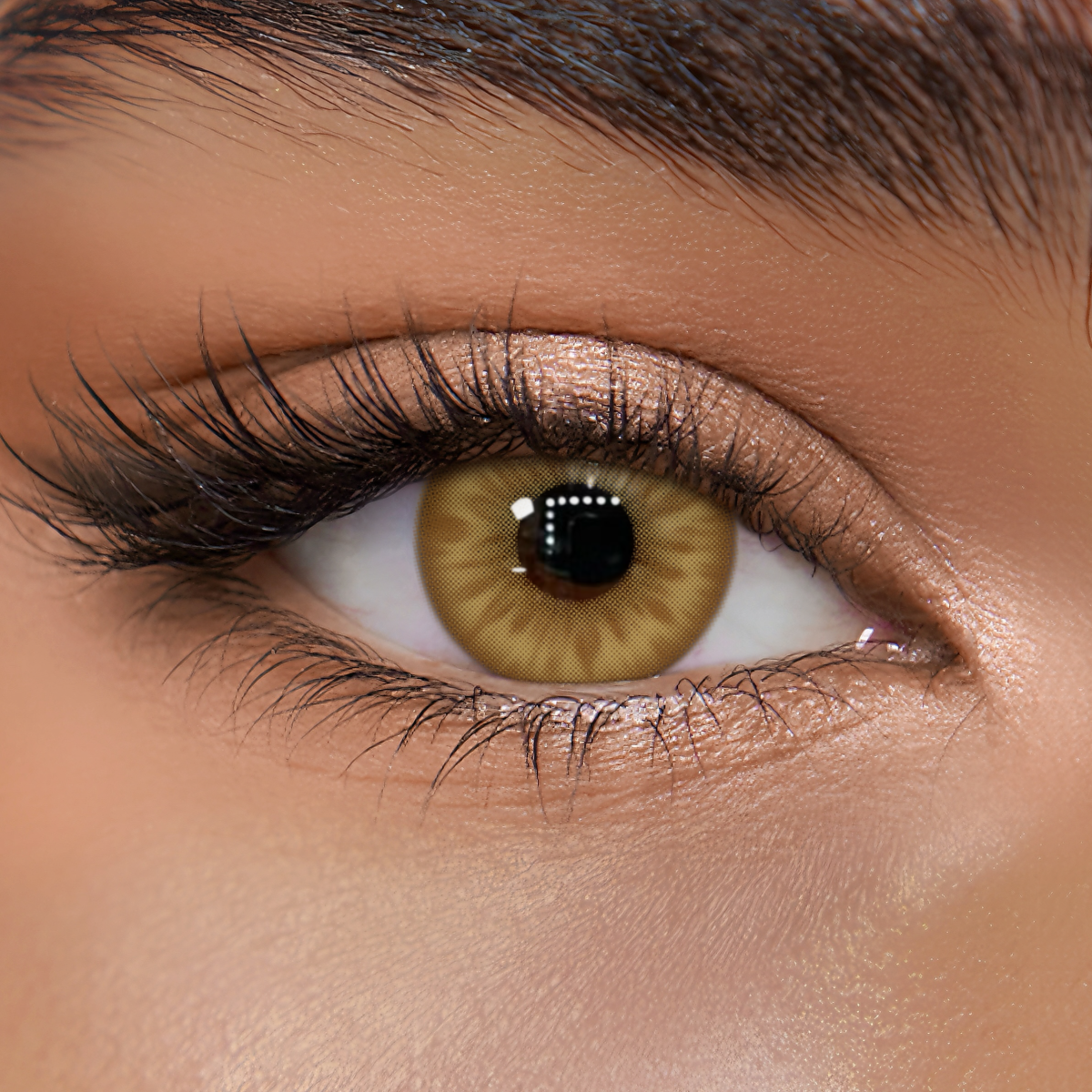 TolyTolly Blossom Brown