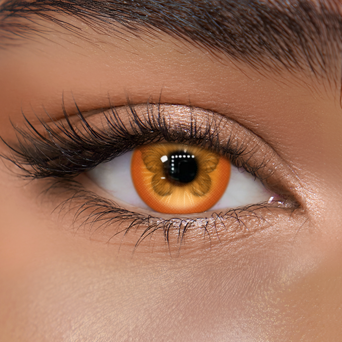 TolyTolly Monroe Blush Brown