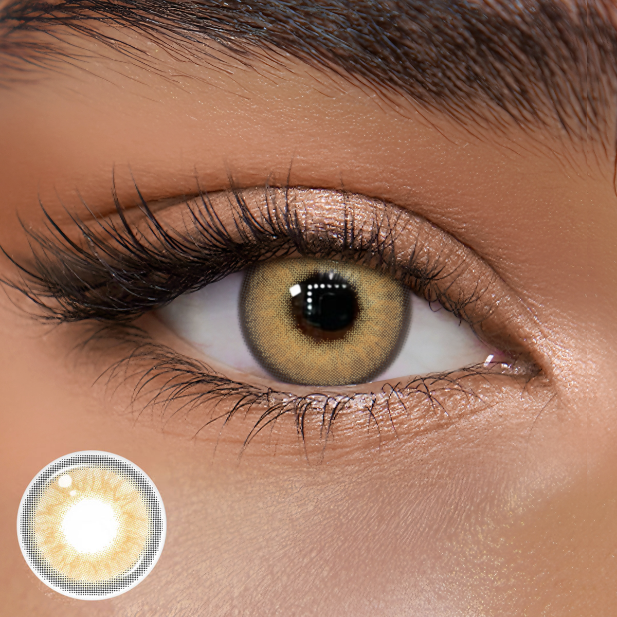 TolyTolly Vireya Brown