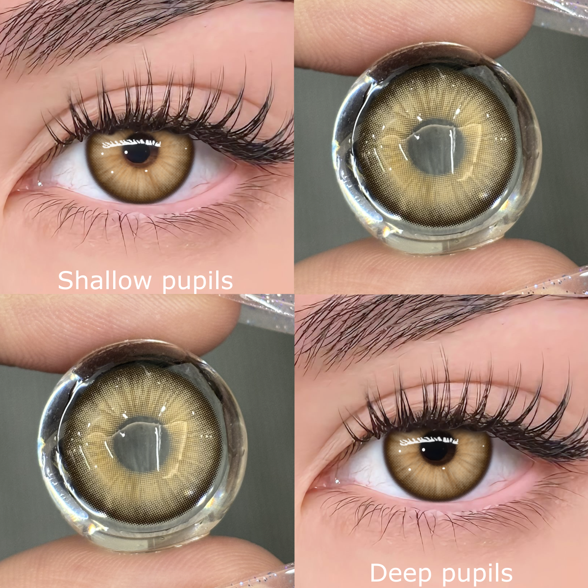 TolyTolly Evelyn Brown