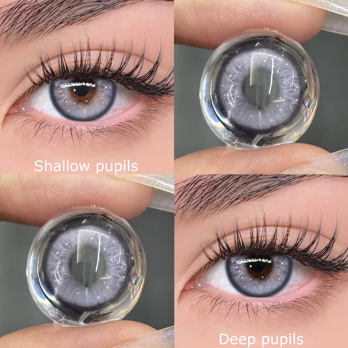 TolyTolly Enigma Purple