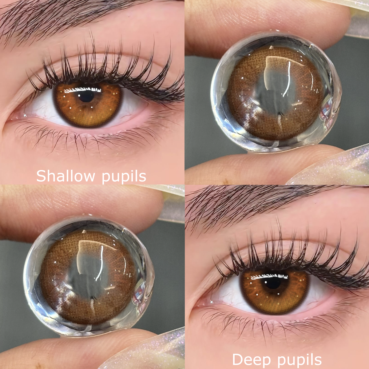 TolyTolly Enigma Brown