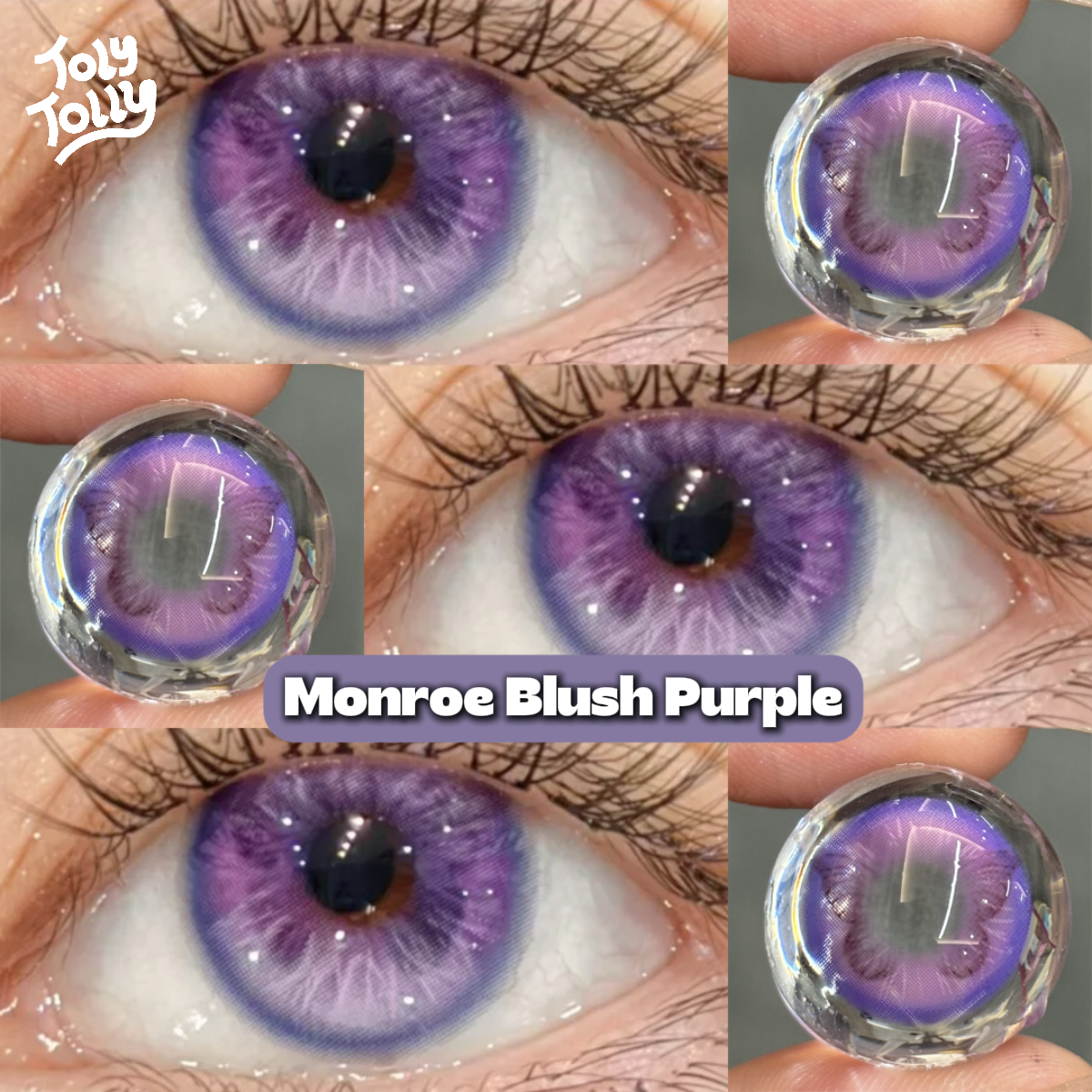 TolyTolly Monroe Blush Purple