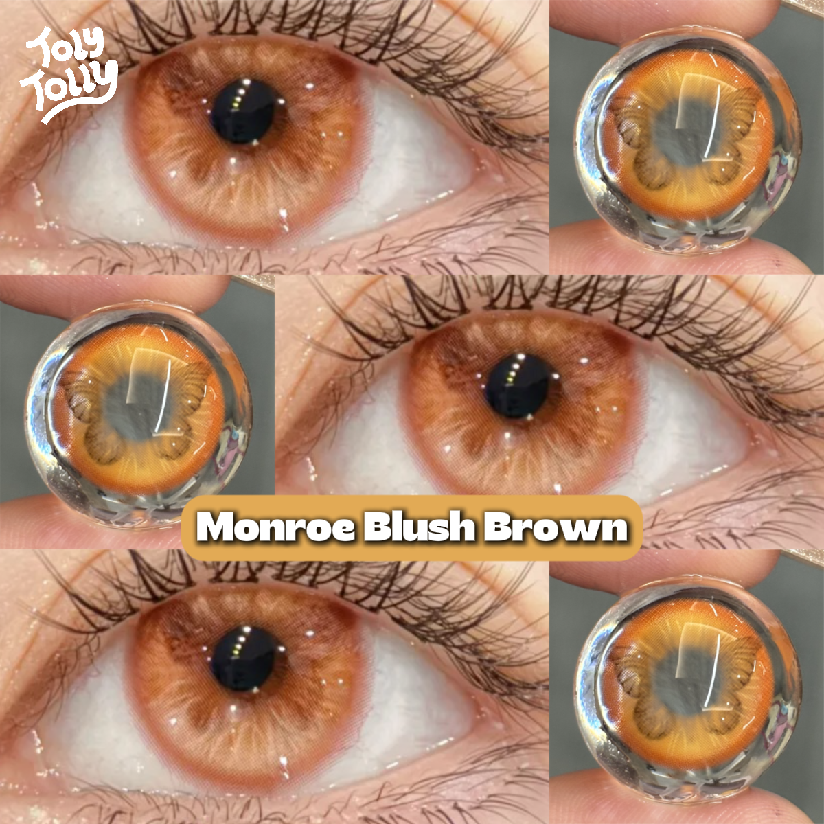 TolyTolly Monroe Blush Brown