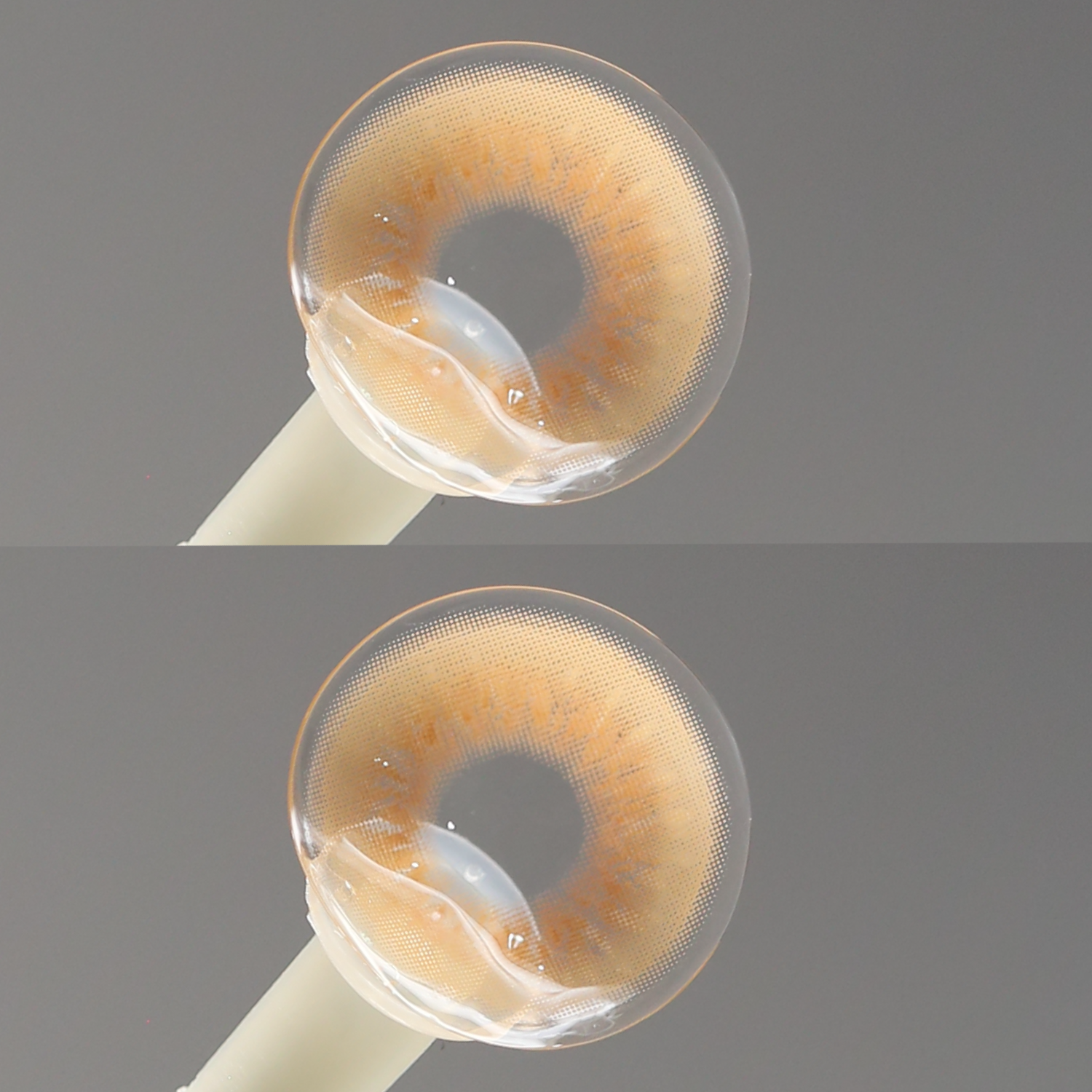 TolyTolly Aurea Brown