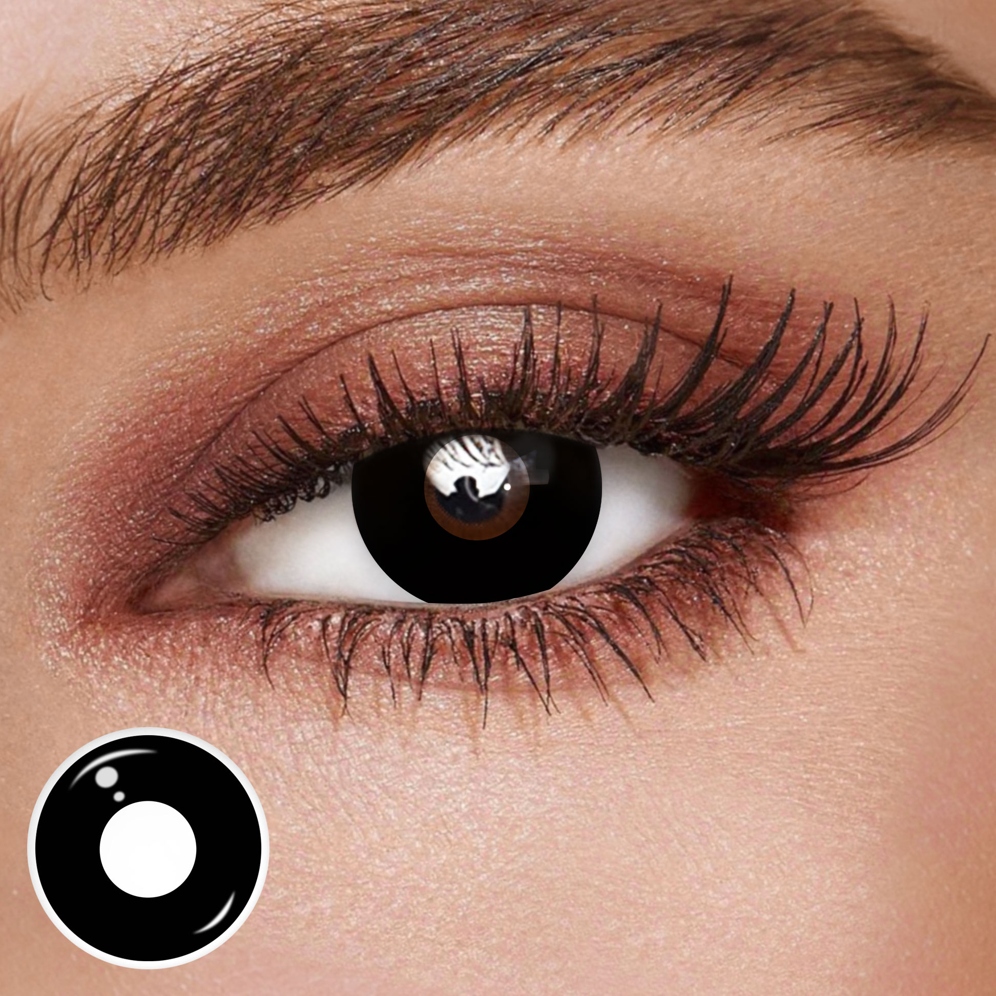 TolyTolly Blank Black | Daily