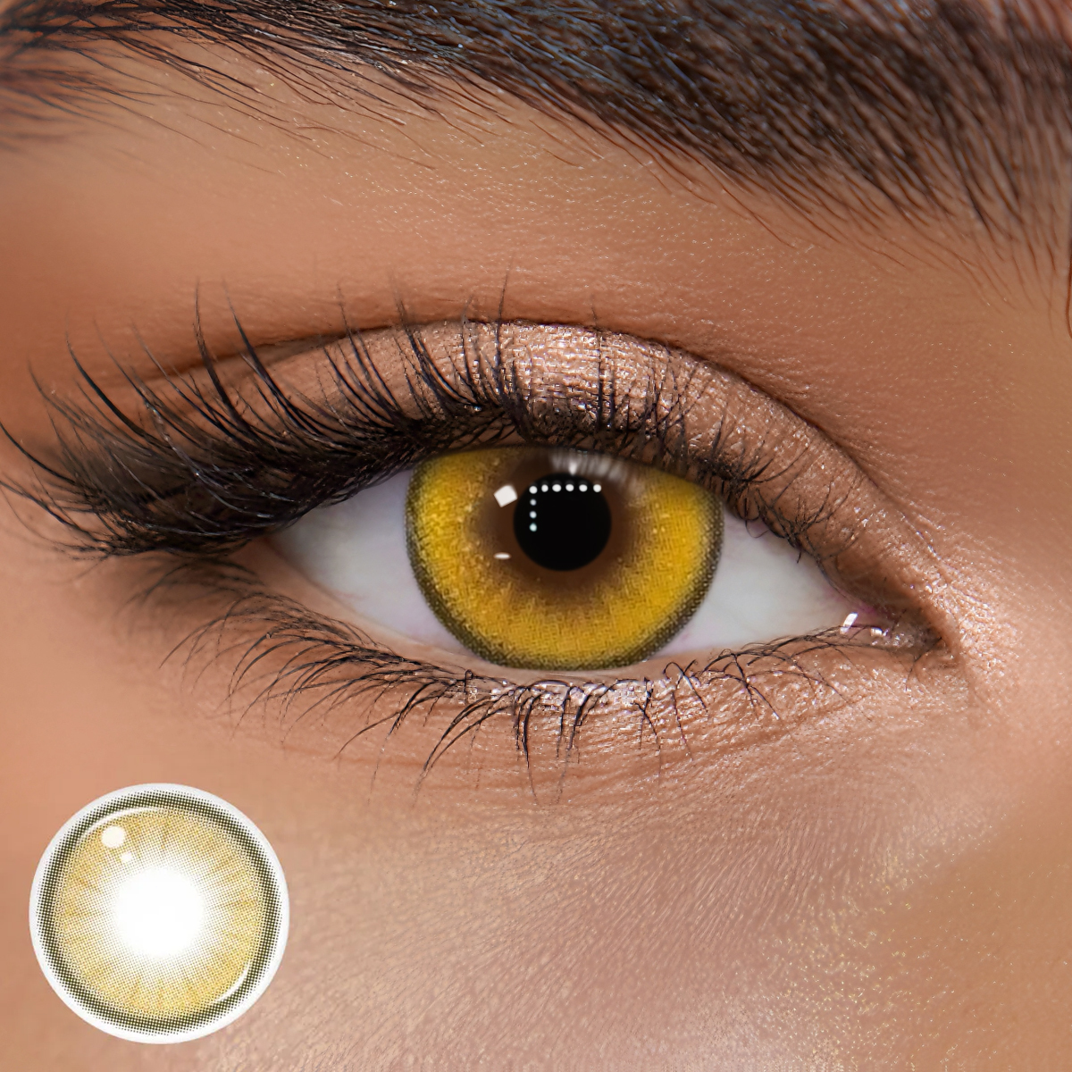 TolyTolly Crystis Brown