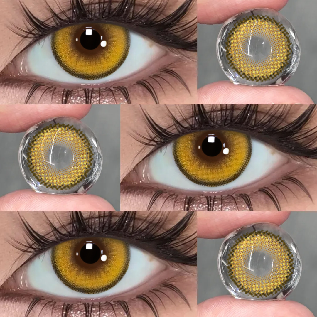 TolyTolly Crystis Brown