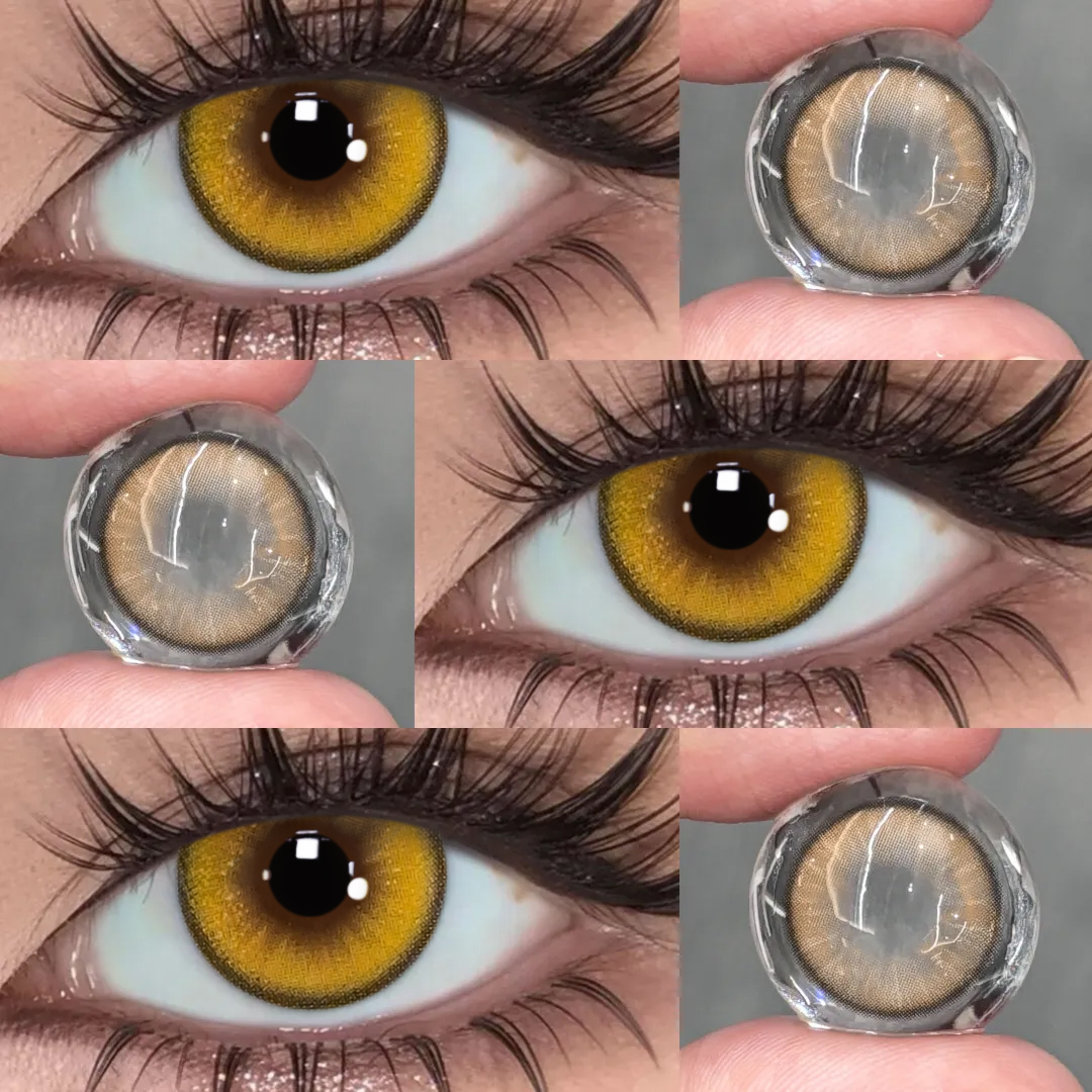 TolyTolly Crystis Brown| Monthly