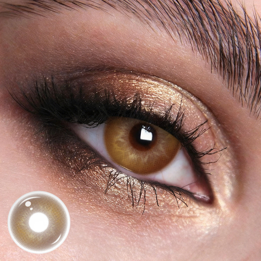 TolyTolly Dolce Brown | Daily