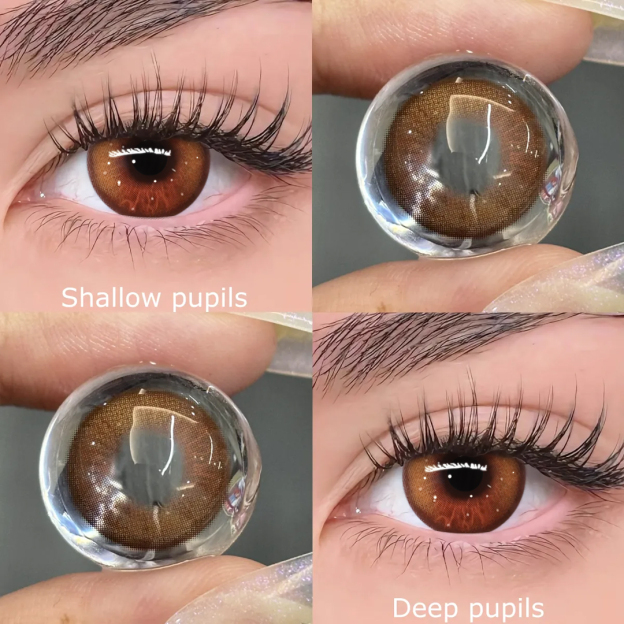 TolyTolly Enigma Brown