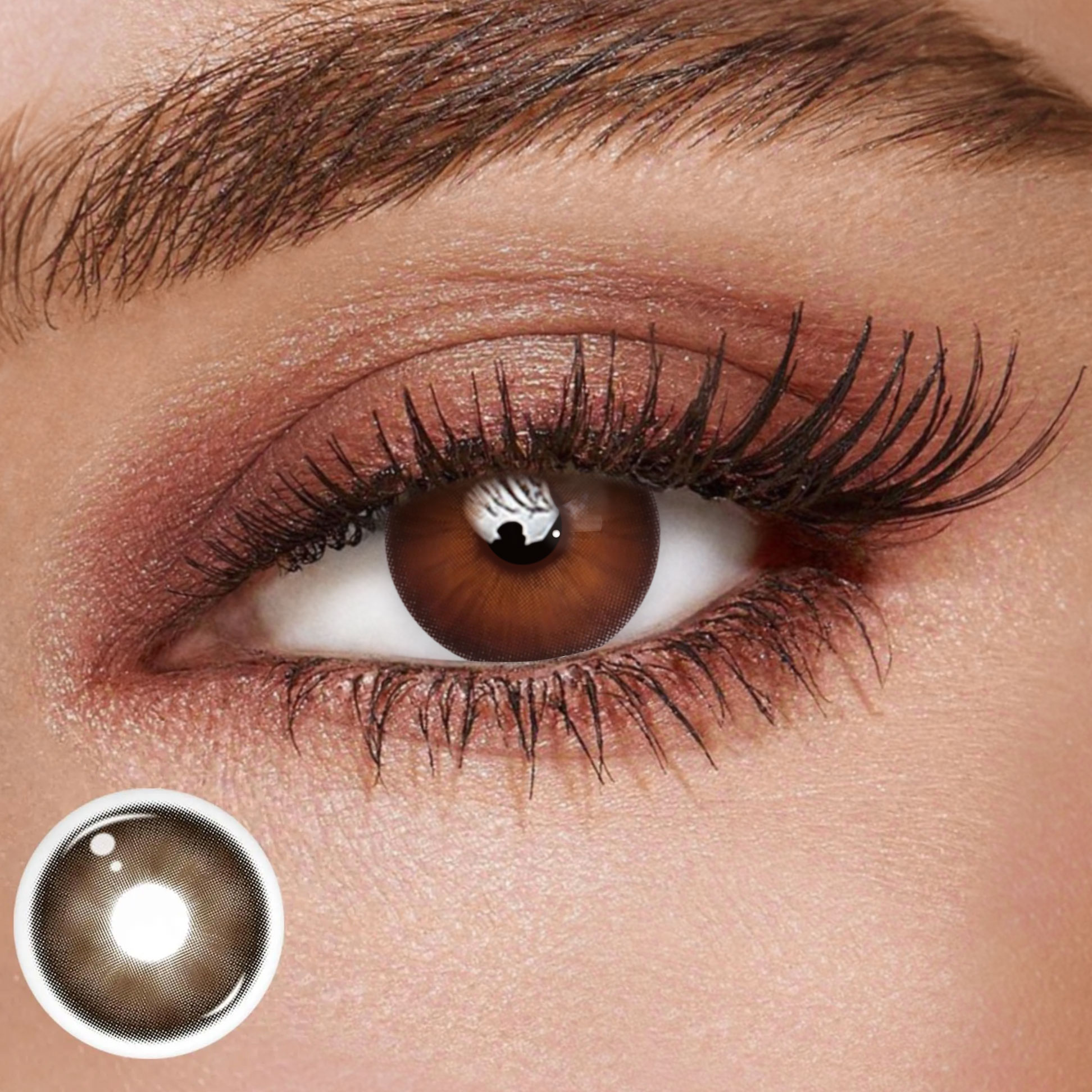 TolyTolly Evelyn Chocolate