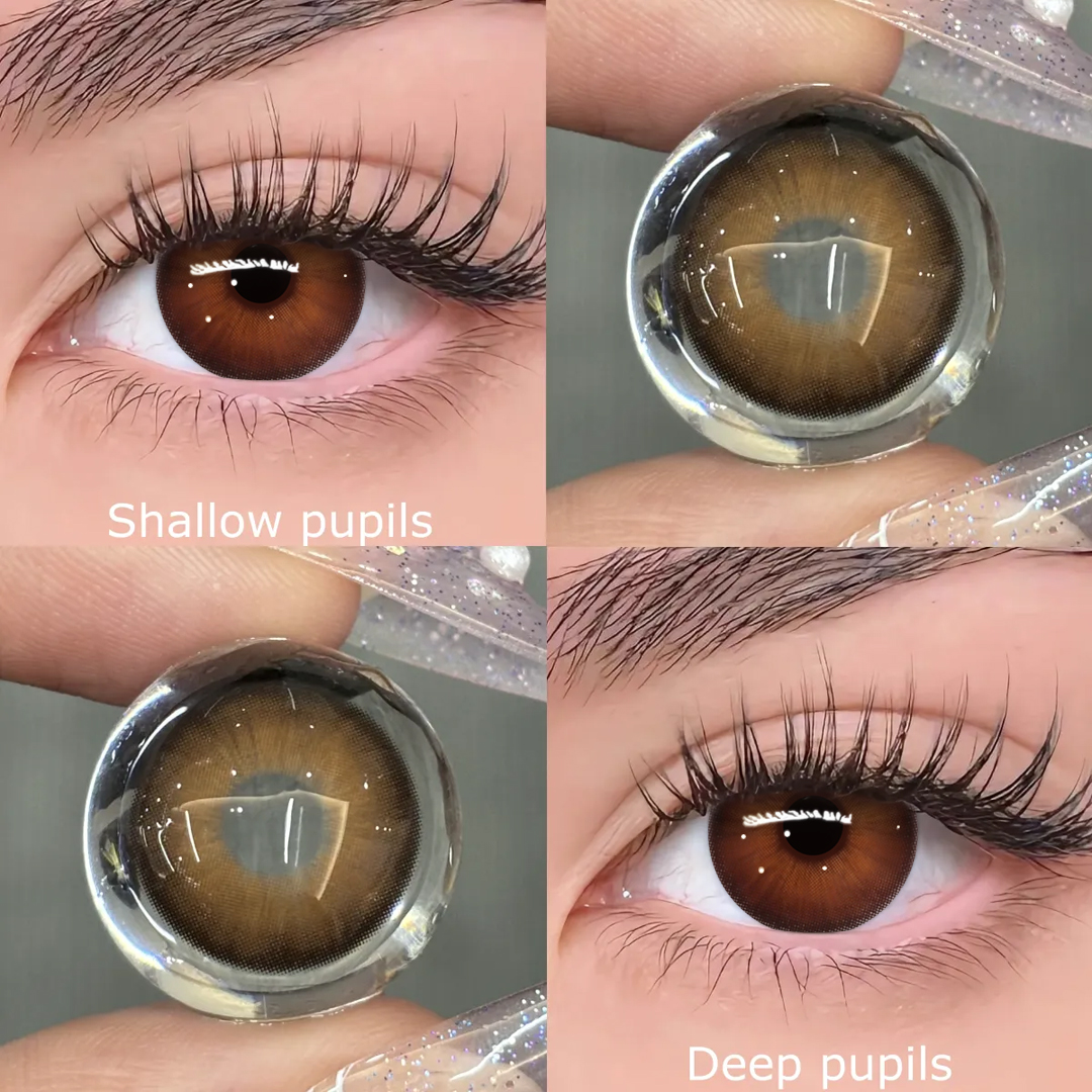 TolyTolly Evelyn Chocolate| Monthly