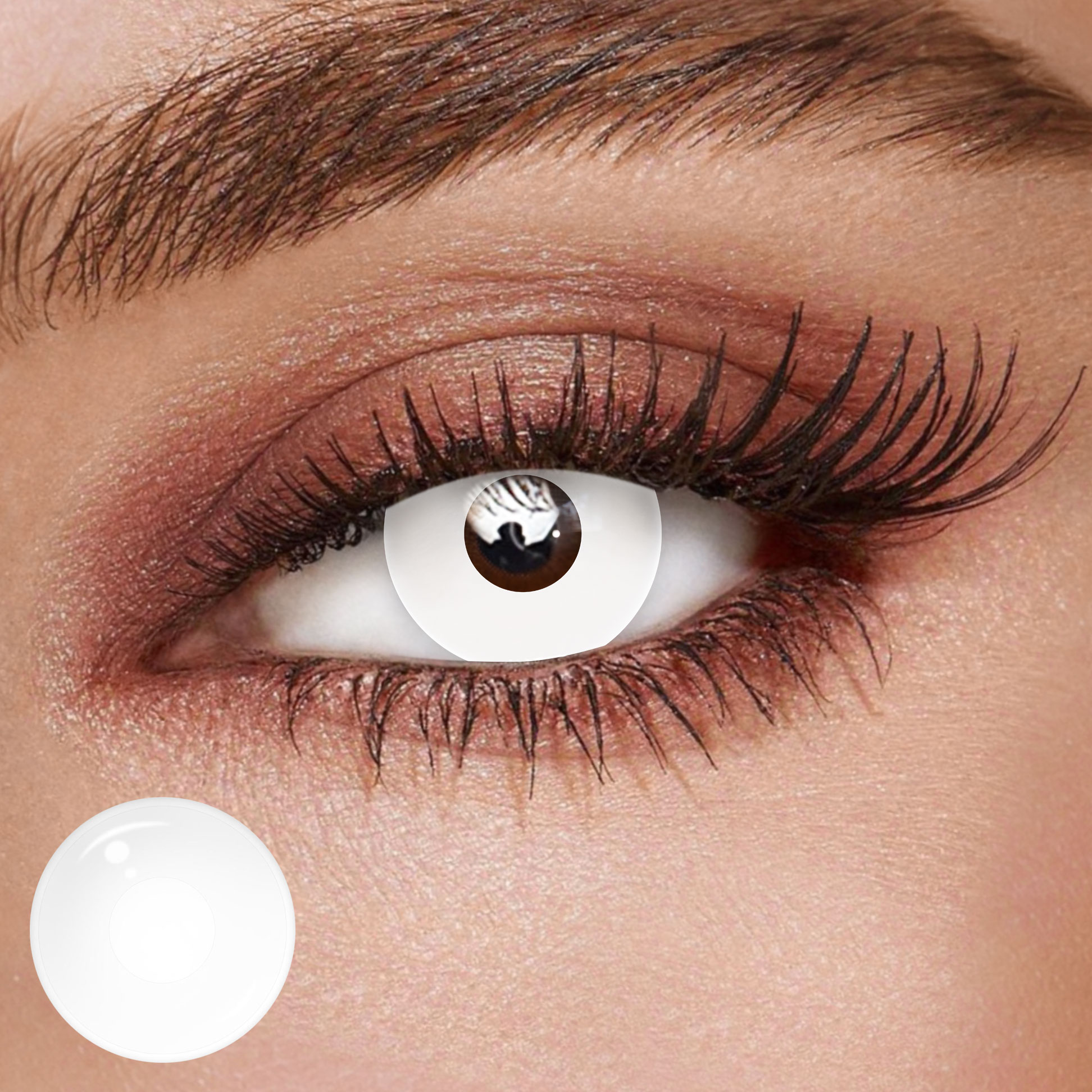 TolyTolly Halloween Whiteout | Daily