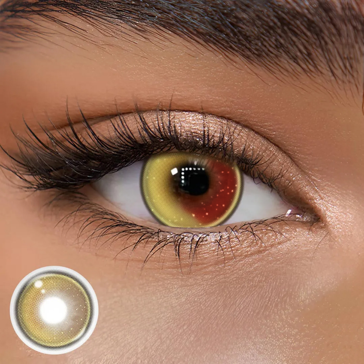 TolyTolly Haven Brown