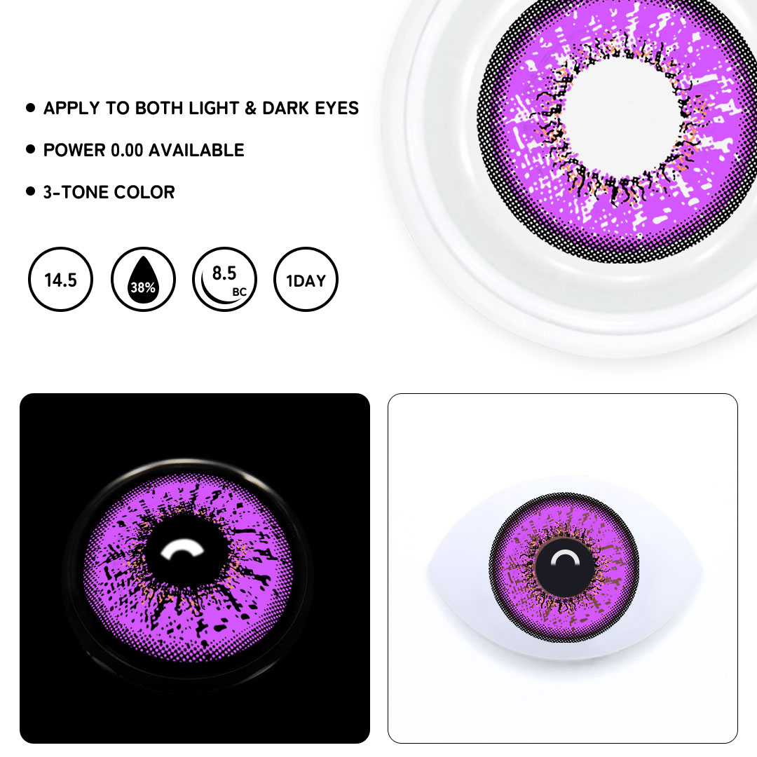 TolyTolly Kivie Purple | Daily