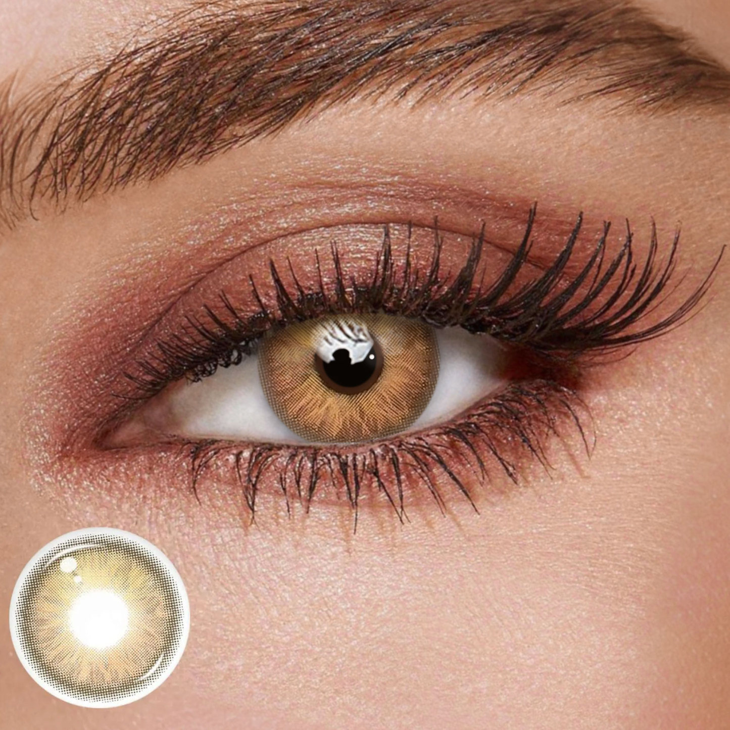 TolyTolly Mystel Brown