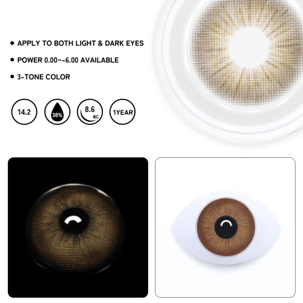 TolyTolly Rome Times Brown