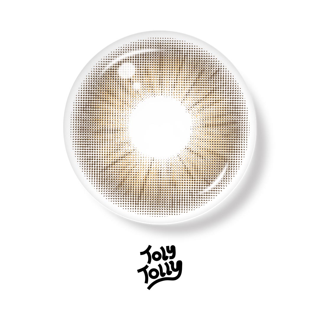 TolyTolly Rome Times Brown