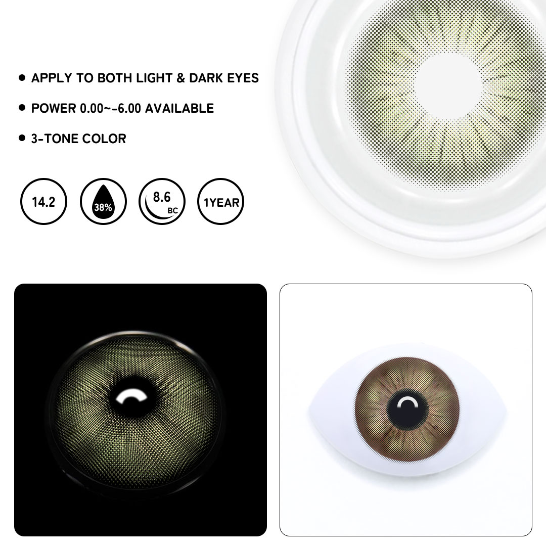 TolyTolly Rome Times Olive Green