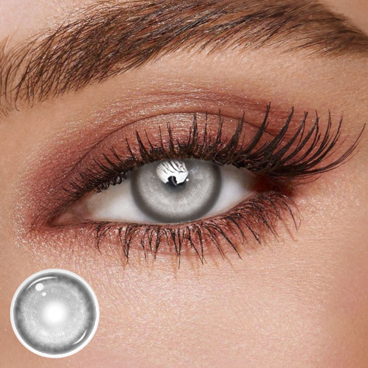 TolyTolly Thyme Gray | Daily