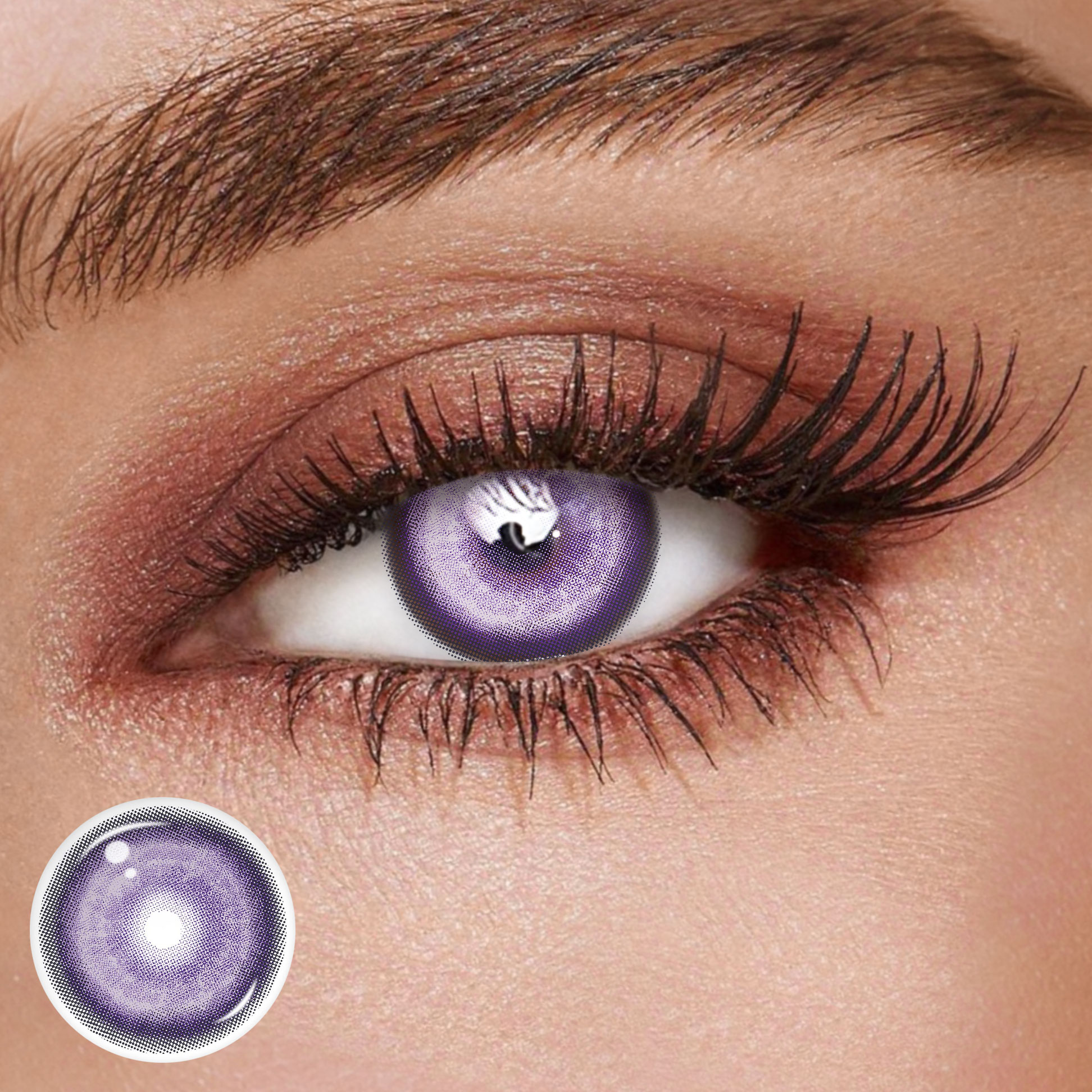 TolyTolly Thyme Purple | Daily