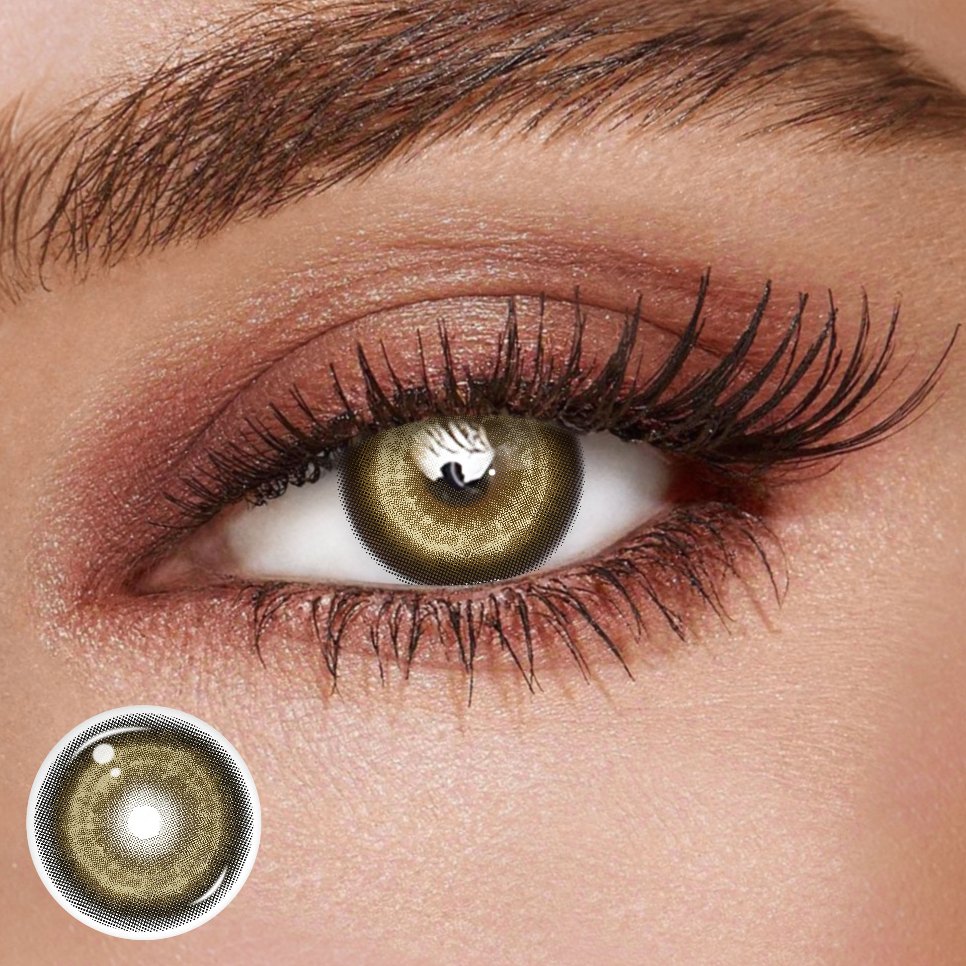 TolyTolly Thyme Yellow | Daily