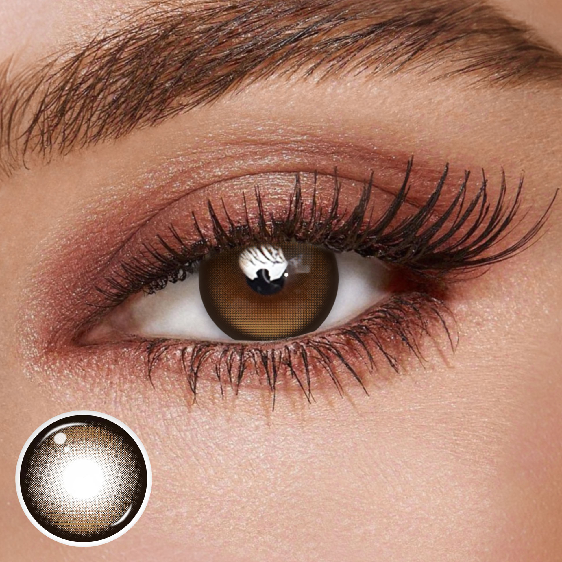 TolyTolly Truffle Brown | Daily